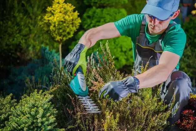 landscaping services Hastings